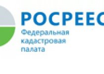 Баннеры на главной 250х80